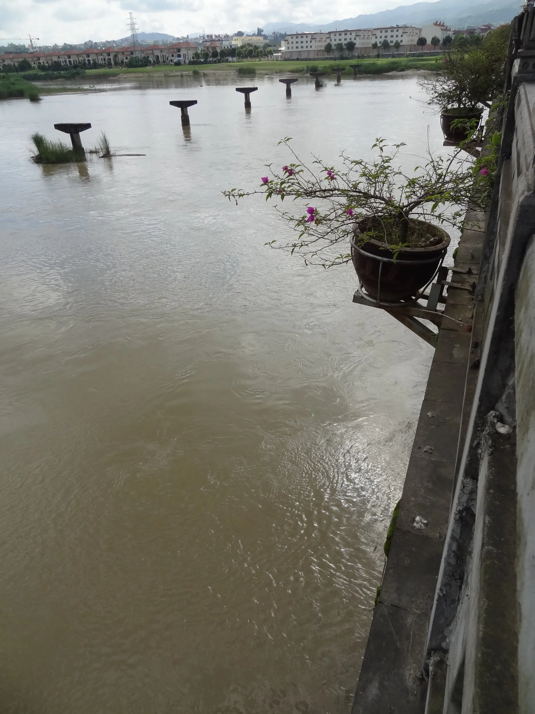 姐告大橋から瑞麗江を眺めた風景
