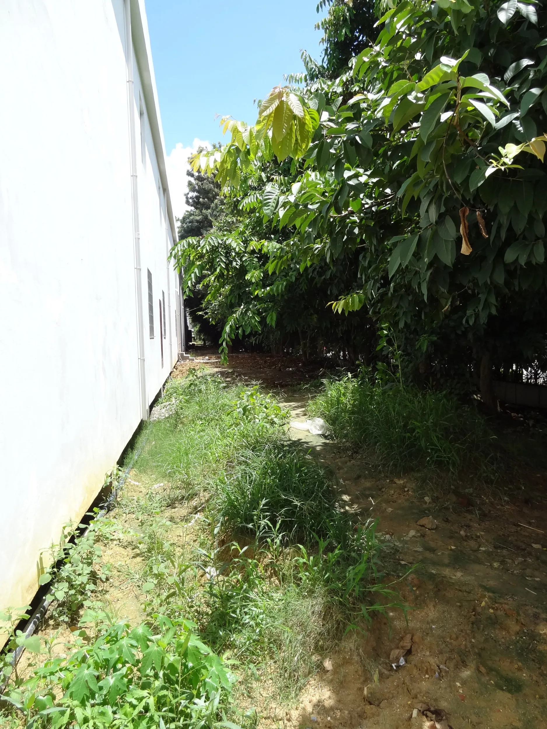 国境の町を隔てる柵付近の風景