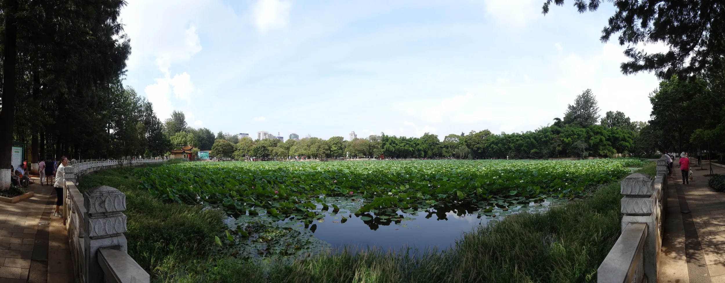 翠湖の東側 パノラマ撮影