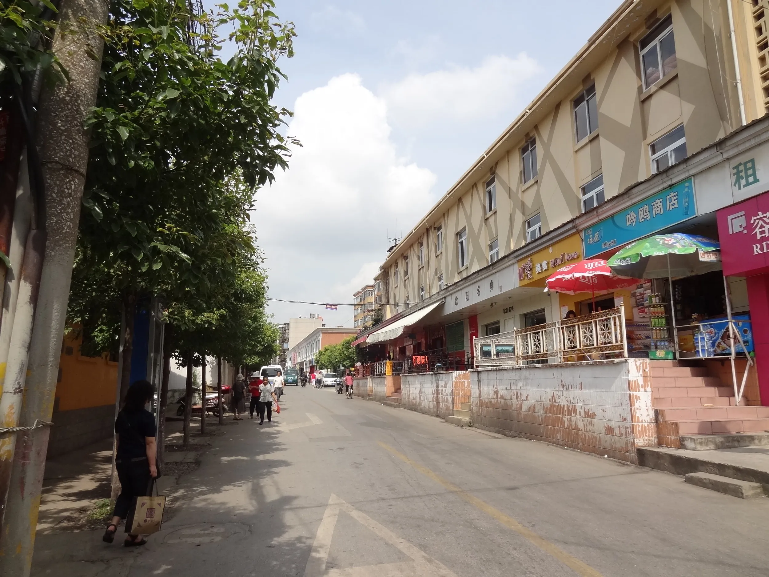 翠湖の傍の道路