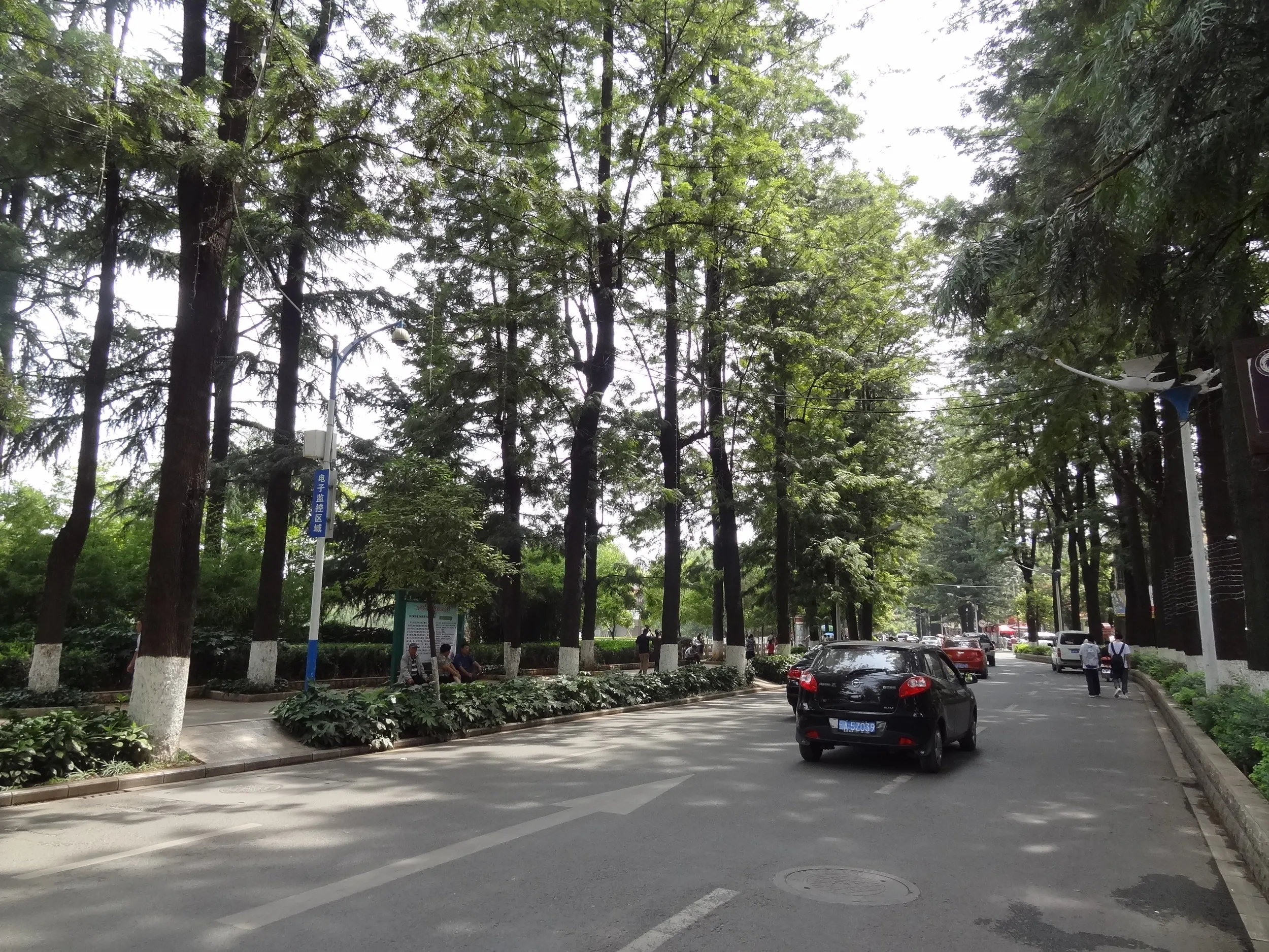 翠湖周辺の道路と風景