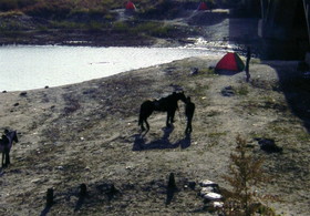 中国黒竜江省哈爾浜(ハルビン)市の太陽島では馬に乗って遊覧することも可能