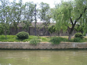とまとじゅーす的蘇州観光　中国蘇州、水郷の中国的な柳の街路樹と道