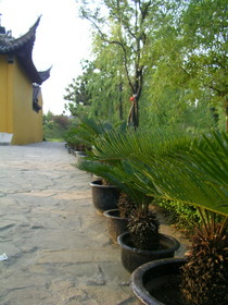 とまとじゅーす的中国旅行記　蘇州定園内の広い敷地内の写真