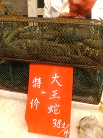 とまとじゅーす的中国旅行記　上海の浦東新区上南路と周家渡付近　蛇です。500gで38元。健康食材らしいですよ