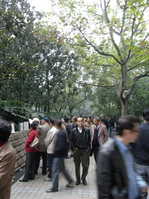 とまとじゅーす的中国上海市内観光旅行、上海人民公園。日本ではこういうお見合いとか無いでしょうね