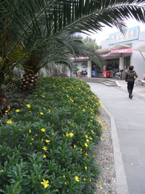 とまとじゅーす的中国旅行記、上海人民公園内から人民広場へと抜ける路の途中