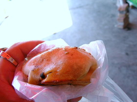 新疆ウイグル(維吾爾)自治区観光旅行記＠ウルムチ(鳥魯木斉)の水上公園で食べた包子はマジで激美味しかった！香ばしさが伝わってくれるかなぁ