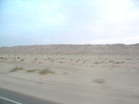中国旅行記、阿克蘇(アクス)観光旅行編＠タリム盆地の砂漠に所々植物が生えてます