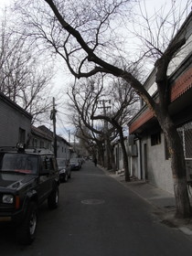 とまとじゅーす的中国北京観光旅行、この辺は閑静な胡同街
