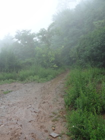 西安観光旅行記＠西安の観光名所、驪山の山道。泥でぬかるんでる