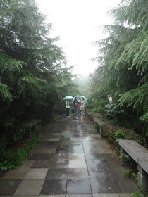 西安観光旅行記＠驪山の木々に囲まれた中を森林浴をしながら観光