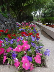 中国旅行記＠西寧観光編、西寧植物園内に咲く花