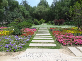 西寧観光旅行記＠西寧植物園の花壇と花