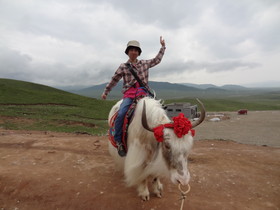 青海省観光旅行記＠青蔵高原の日月山で牦牛に乗って記念撮影