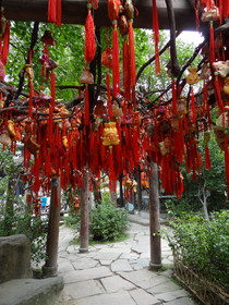 中国旅行記＠成都観光編、錦里の木にぶら下げられた巾着など