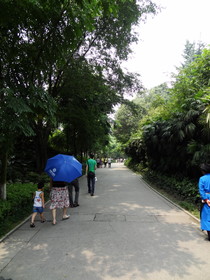 中国旅行記＠成都観光編、成都動物園内の風景