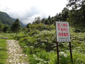 中国旅行記＠大理観光、蒼山の桃渓谷の山道