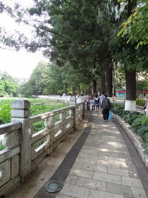 中国旅行記、昆明観光編＠翠湖の緑道