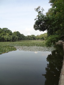 中国旅行記、昆明観光編＠翠湖の池と蓮の葉の風景