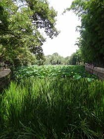中国旅行記、昆明観光編＠翠湖の池の風景