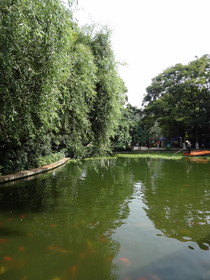 中国旅行記、昆明観光編＠翠湖と鯉が泳ぐ風景