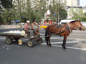 中国旅行記、北京観光編＠北士城西路で見た馬車
