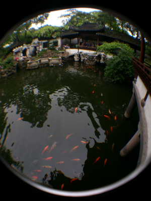 中国旅行記、上海観光＠豫園、曲檻臨池の鯉
