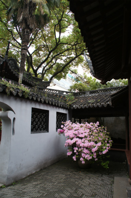 中国旅行記、上海観光＠豫園庭園内の風景