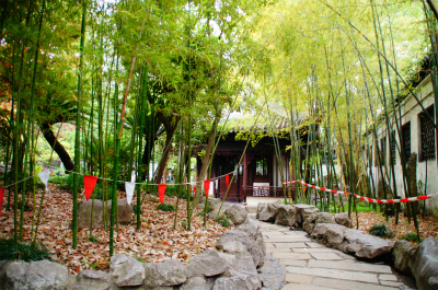 中国旅行記、上海、豫園観光＠会景楼付近の風景