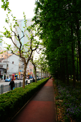 中国旅行記、上海観光編＠寧海東路と浙江南路の傍にある延福緑地を通過