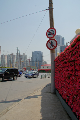 中国旅行、上海観光編＠南京西路と石門一路の交差点と花に覆われた壁