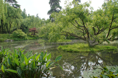 とまとじゅーす的中国旅行記、杭州観光編＠西湖の東南側、杭州の西湖十景の一つ、柳浪聞蔦。湖と隔離されて池のようになってる場所