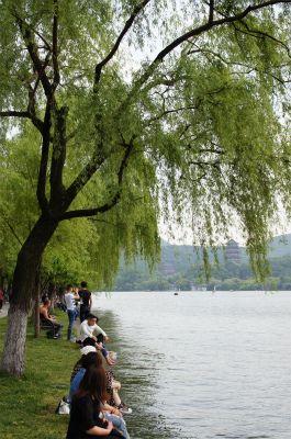 とまとじゅーす的中国旅行記、杭州観光編＠西湖の湖畔で佇む観光客