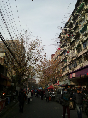 中国旅行記＠上海滞在記。上海、芷江(zhi jiang)西路、市場付近の風景
