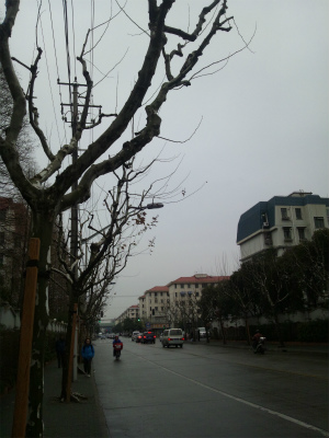 中国旅行記＠上海滞在記。上海、会社付近を散歩。今後はこの付近に部屋を借りる予定
