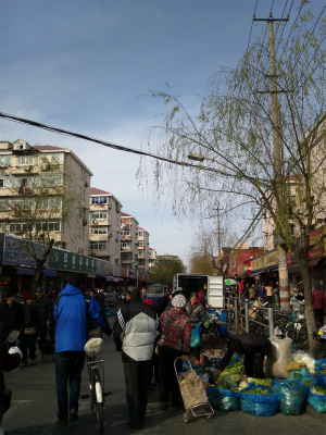 とまとじゅーす的中国旅行記＠上海観光・滞在日記。上海、彭浦新村付近の風景