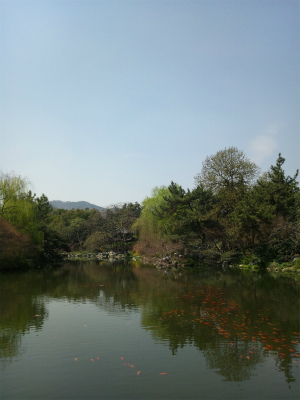 中国旅行記、杭州～紹興ツアー観光編＠杭州の西湖周辺、花港公園の紅魚池の風景