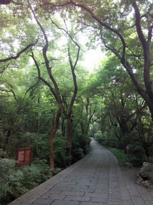 とまとじゅーす的中国旅行記＠杭州観光。吴山を森林浴しながら散歩