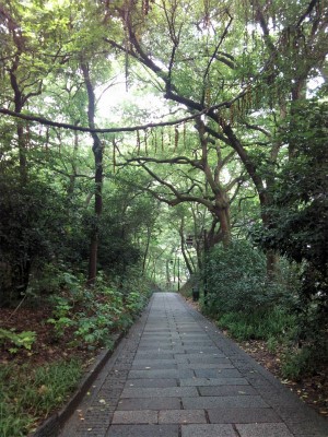 とまとじゅーす的中国旅行記＠杭州観光。吴山を森林浴しながら散歩