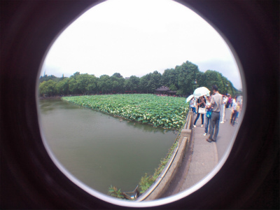 とまとじゅーす的中国旅行記＠杭州観光。西湖の白堤は蓮天国