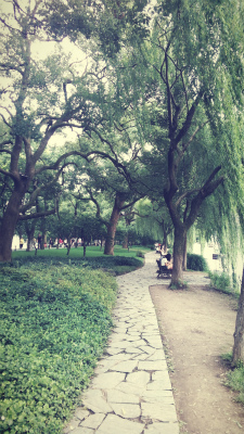 とまとじゅーす的中国旅行記＠杭州観光。西湖の蘇堤の風景