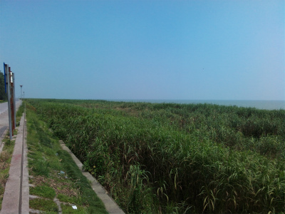 とまとじゅーす的中国旅行記＠無錫観光。太湖大堤から太湖を眺める