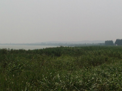 とまとじゅーす的中国旅行記＠無錫観光。太湖大堤から太湖を眺める