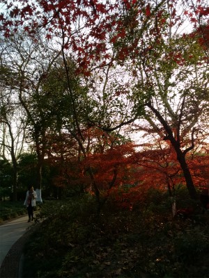 とまとじゅーす的中国旅行記＠杭州、西湖から霊隠景観区まで散歩。紅葉を鑑賞
