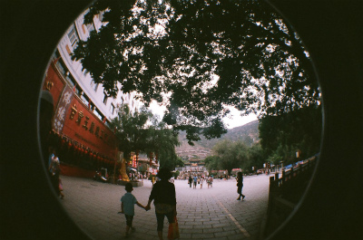 中国旅行記＠蘭州観光、五泉山公園付近の槐（エンジュ、sophora japonica linn）の大樹をLomoのFisheye2で撮影