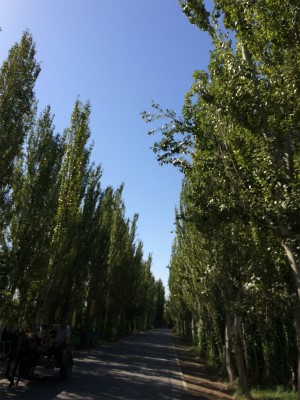 新疆ウイグル自治区観光旅行記＠トルファン（吐魯番）の郊外の風景