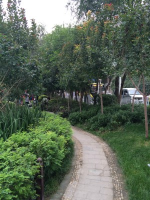 新疆ウイグル自治区観光旅行記＠ウルムチ、水磨溝公園の外側を観光
