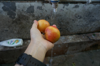 新疆ウイグル自治区観光旅行記＠中国とカザフスタンの国境の町、霍爾果斯（霍尔果斯）付近で小休憩。リンゴを洗う