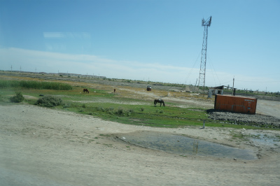 中国＆カザフスタン観光旅行記＠カザフスタン、ホルゴス（Хоргос）からアルマトイ（アルマティ、Алматы）へ向かう途中の高速バスからの車窓風景。砂漠が広がる
